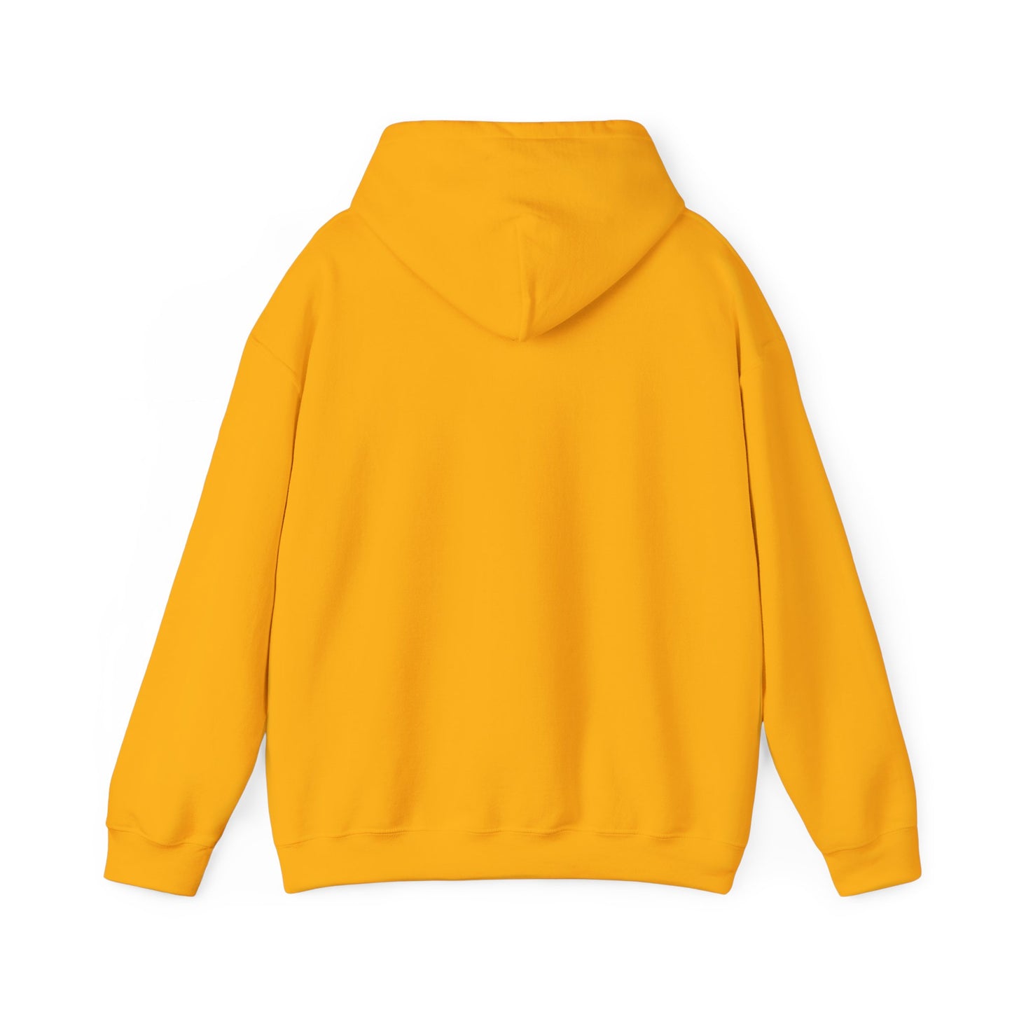 Basketball Is Life...Exodus 20:3 hoodie