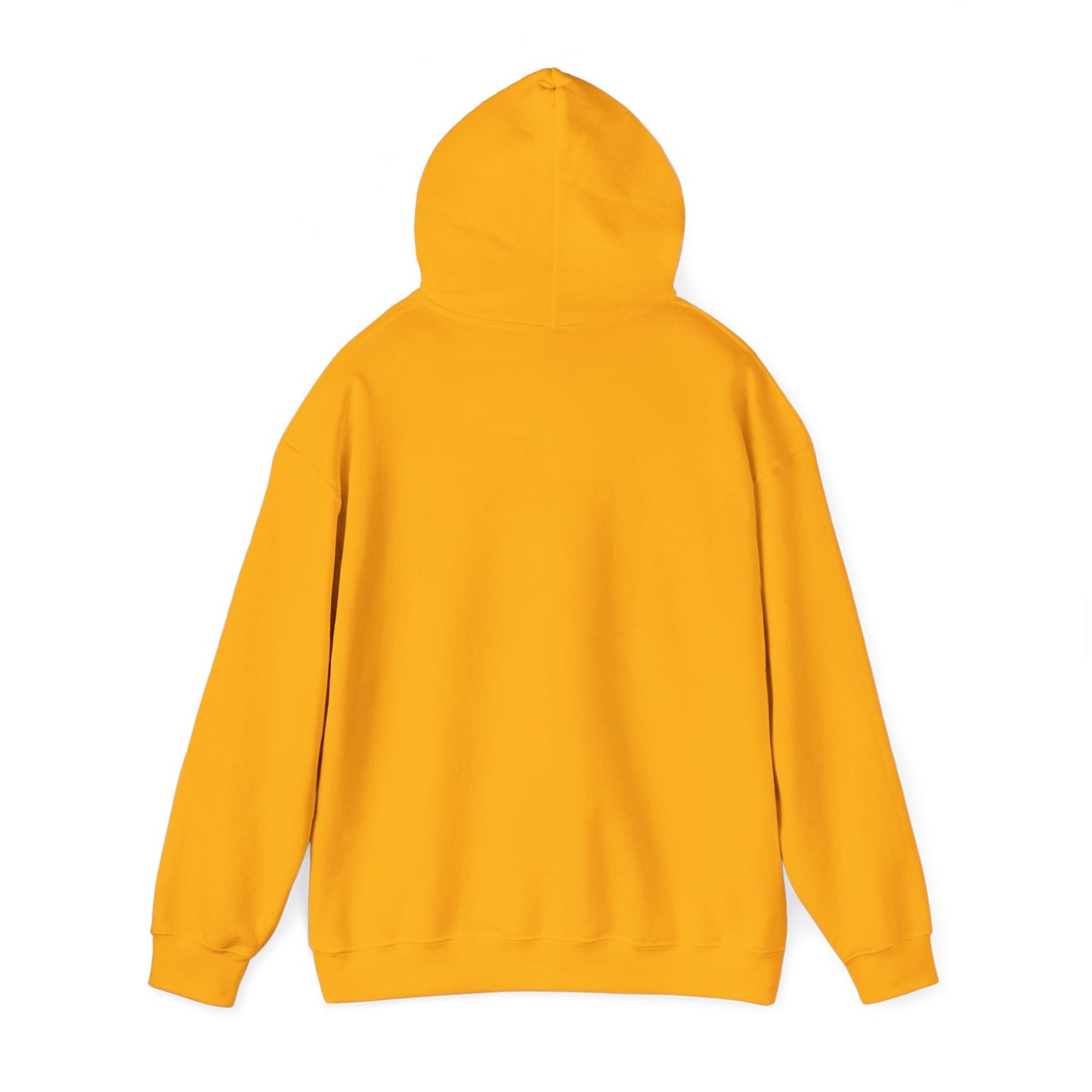 Basketball Is Life...Exodus 20:3 hoodie