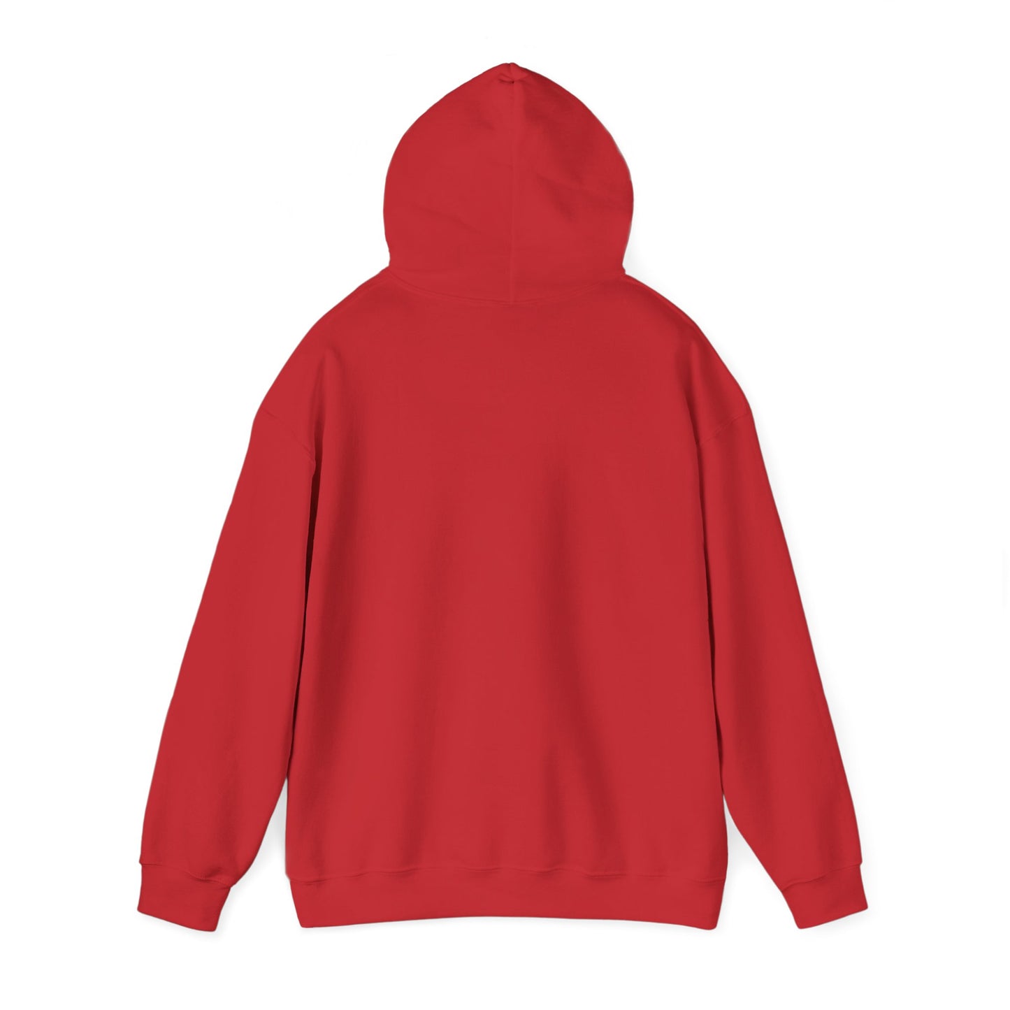 Basketball Is Life...Exodus 20:3 hoodie