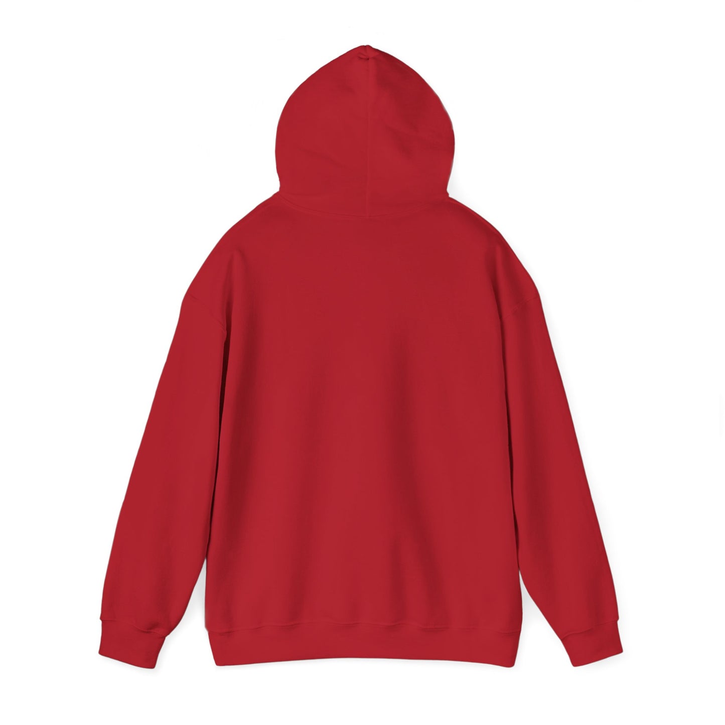 Basketball Is Life...Exodus 20:3 hoodie