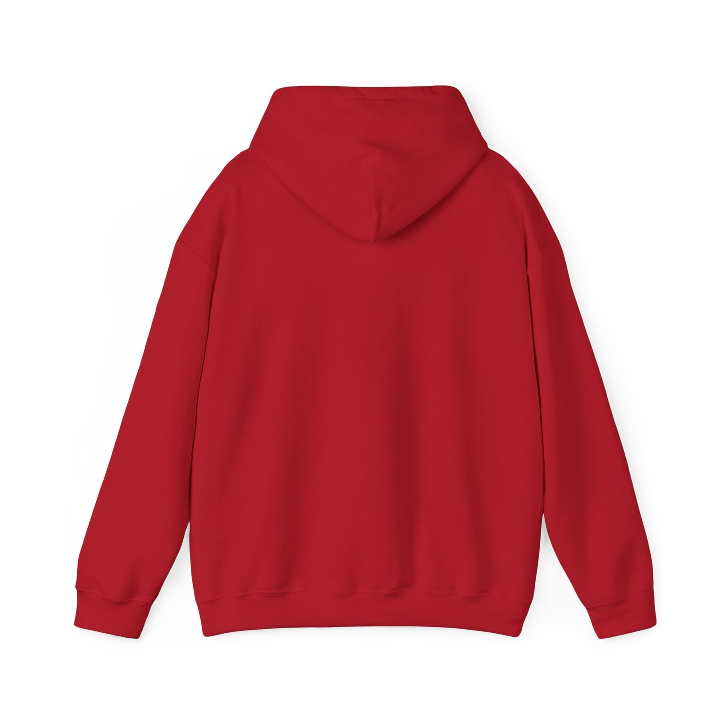 Basketball Is Life...Exodus 20:3 hoodie