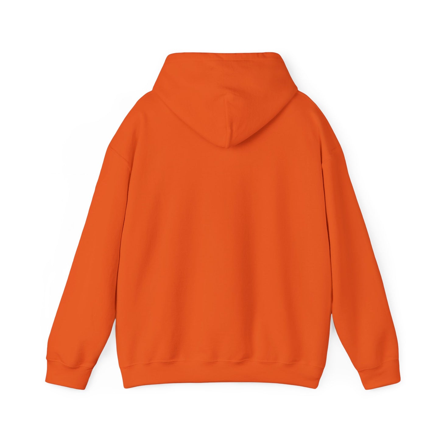Basketball Is Life...Exodus 20:3 hoodie