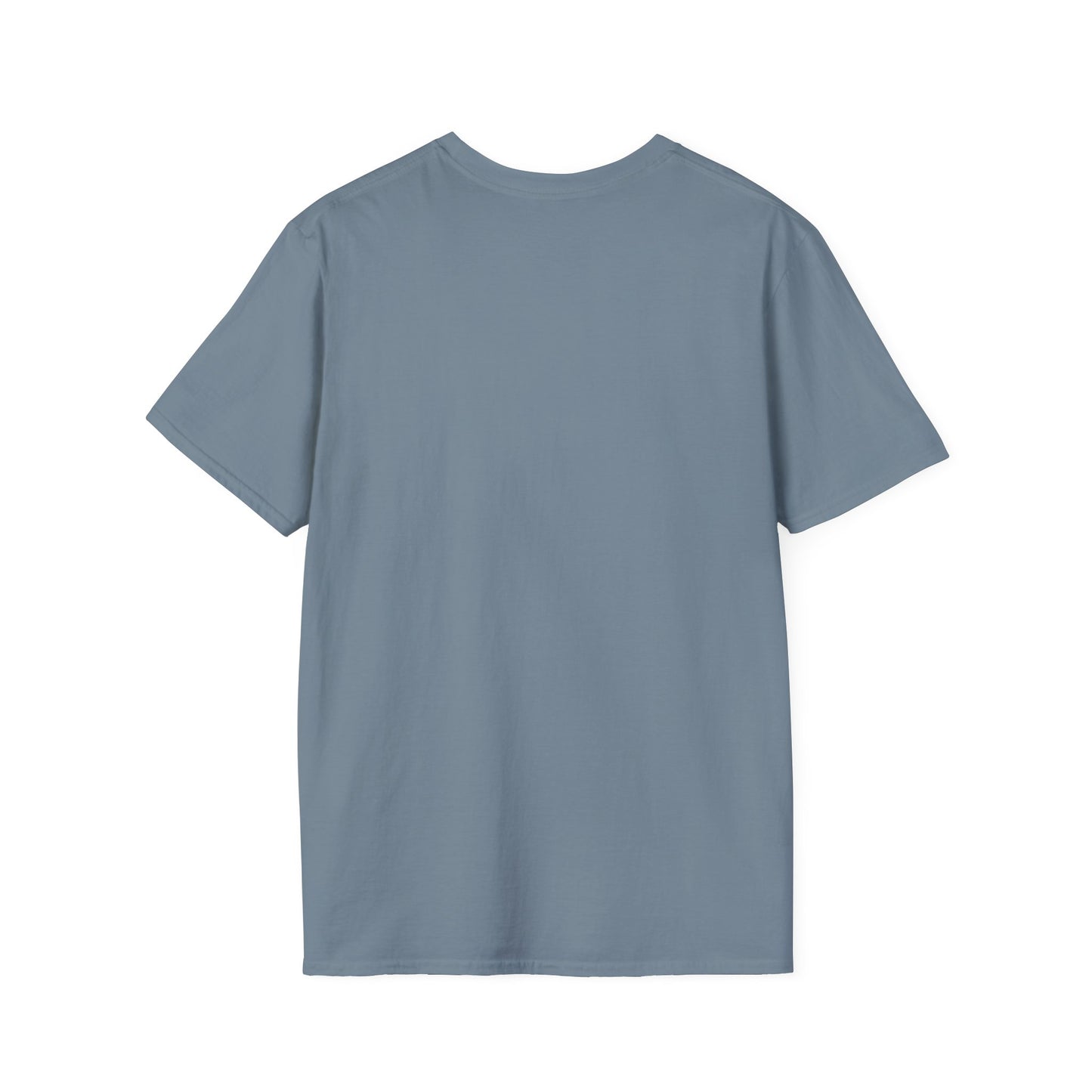 Chosen Unisex Softstyle T-Shirt - Perfect for Casual Wear, Gifts for Friends, Special Occasions, Everyday Comfort, Statement Tee