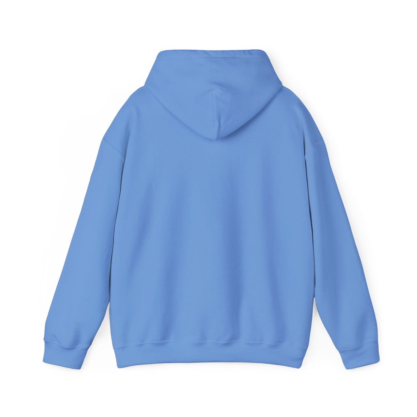 Basketball Is Life...Exodus 20:3 hoodie