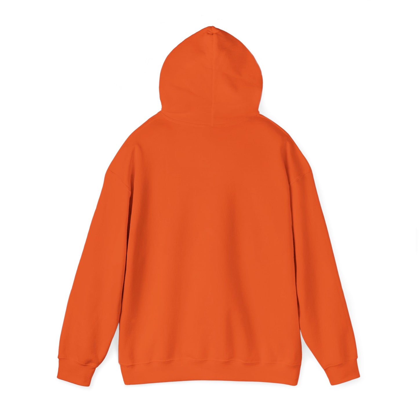 Basketball Is Life...Exodus 20:3 hoodie