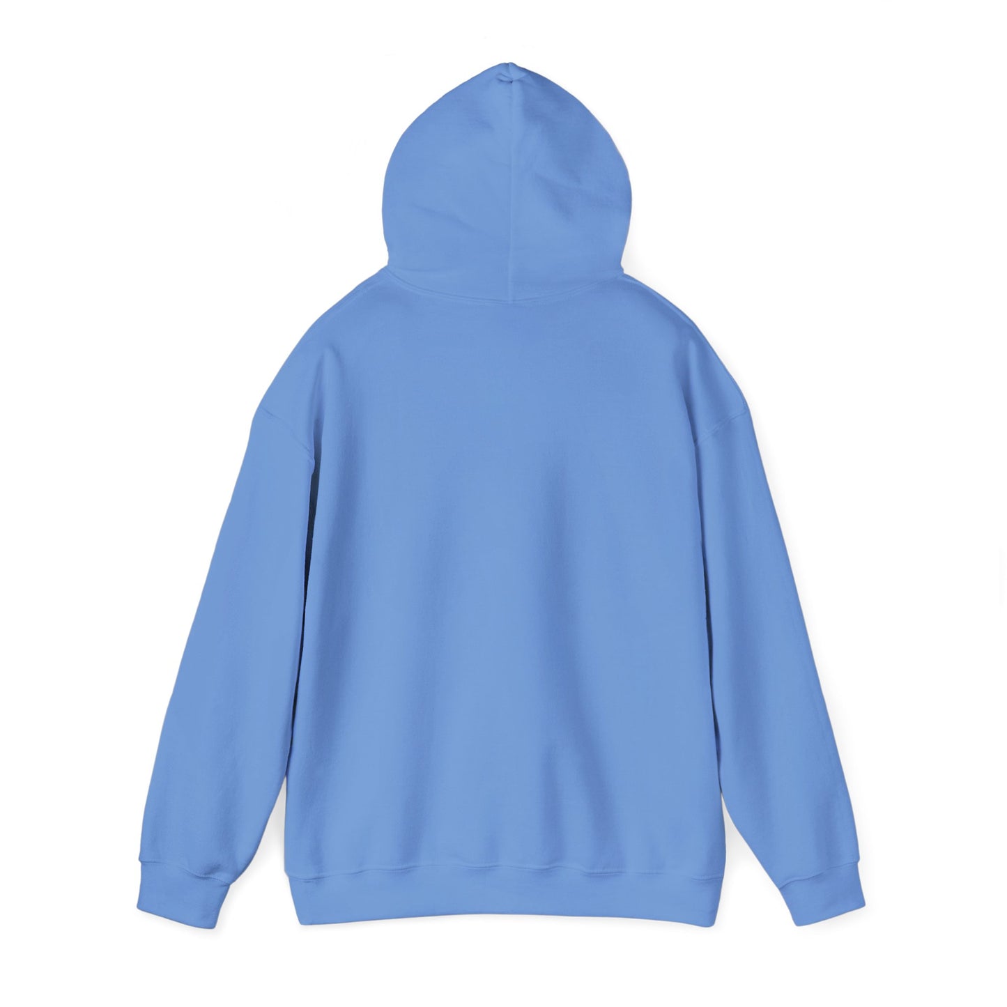 Basketball Is Life...Exodus 20:3 hoodie