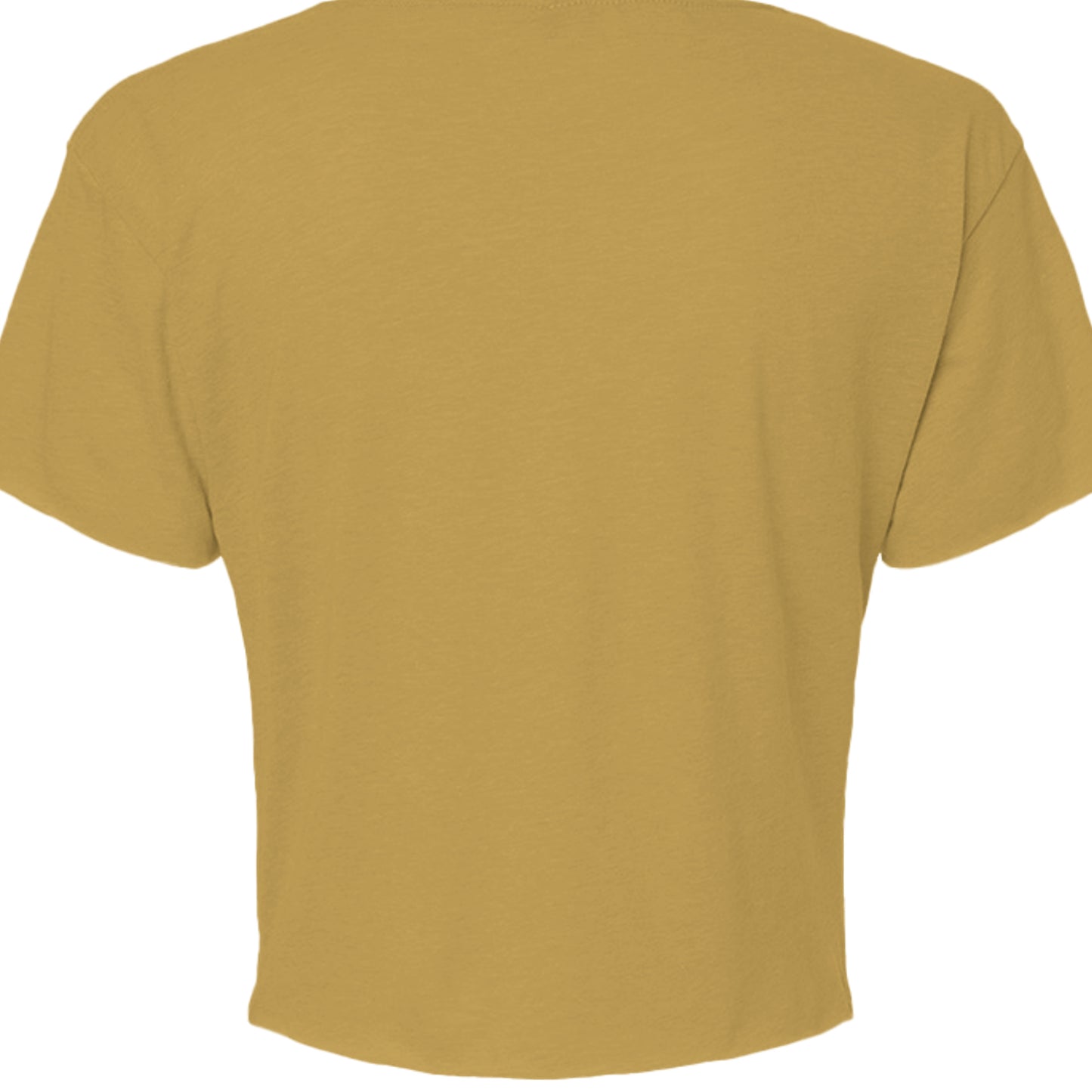 ANTIQUE GOLD - N5080 - BACK