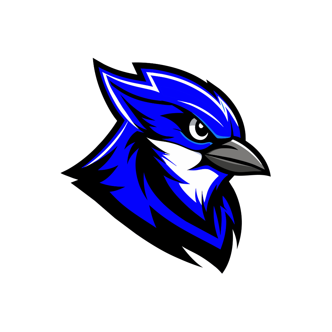 Blue Jays Baseball