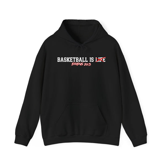Basketball Is Life...Exodus 20:3 hoodie