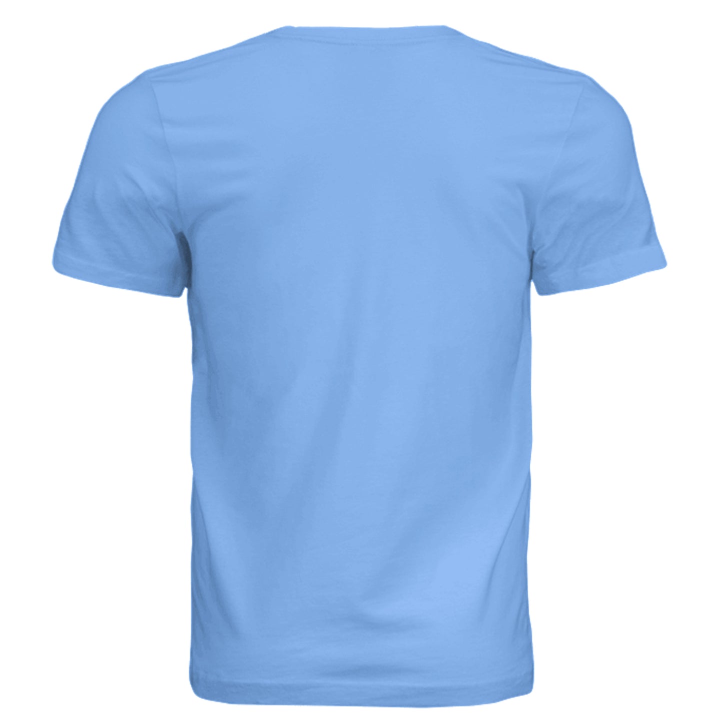 BABY BLUE - 3001C - BACK