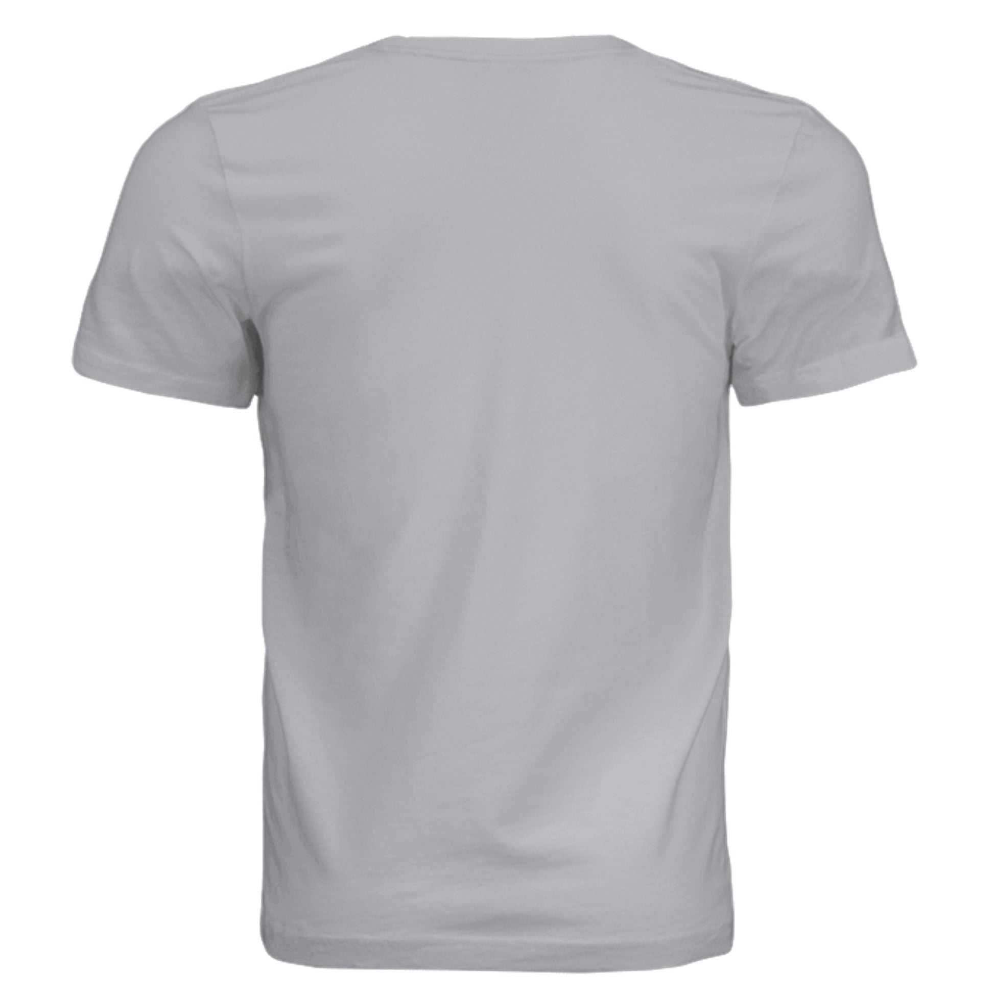 Solid Athletic Grey - 3001C - BACK